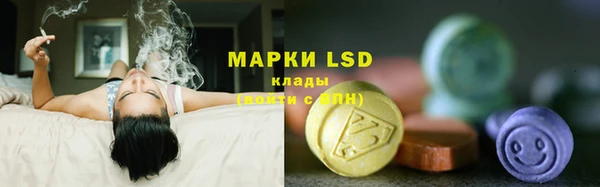 каннабис Белокуриха