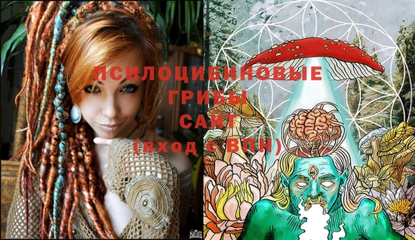 стафф Белоозёрский