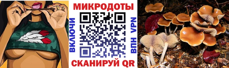как найти закладки  Горнозаводск  Псилоцибиновые грибы Psilocybe 